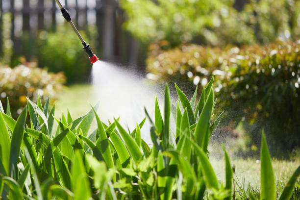 24/7 Emergency Ant Control experts in Huntsville, TN